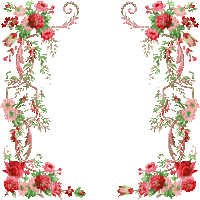 frame cadre rahmen tube spring vintage rose flower fleur pink overlay fond background - GIF animé gratuit