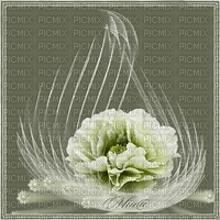 white flowers-sinedot - darmowe png