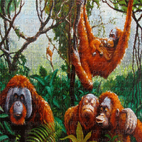 orangutan milla1959 - 免费动画 GIF