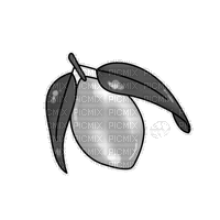 Michael Kors Fruit - Bogusia - GIF animado grátis