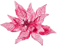 Christmas.Winter.Flower.Pink - zdarma png