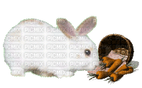 Animated Easter Bunny with Carrots - Free animated GIF