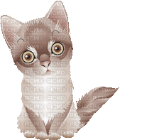 chat beige - GIF animate gratis