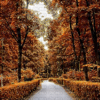 Autumn Animated Background - Δωρεάν κινούμενο GIF