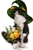 Kaz_Creations Cats Cat Kittens Kitten  Halloween - png gratis