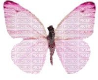 My Favorite Butterfly that I don't know how to get it to fly - gratis png