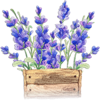 soave deco laventer flowers garden purple - бесплатно png