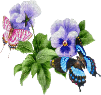 mariposas - Δωρεάν κινούμενο GIF
