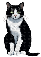 Gato negro - PNG gratuit