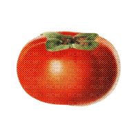ink dot tomato - png ฟรี