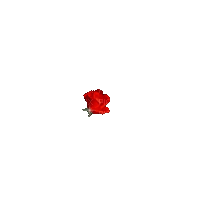 csodás rózsa - Бесплатный анимированный гифка