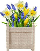 Flowers.Daffodils.Purple.White.Yellow - gratis png