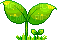 Little Sprout - GIF animé gratuit