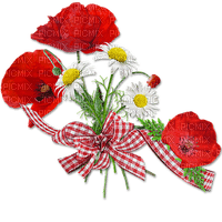 poppy flowers bp - png grátis