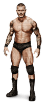 Kaz_Creations Wrestling Male Homme Wrestler - darmowe png