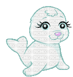Seal - 無料のアニメーション GIF