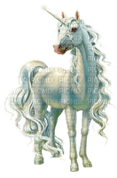 unicorn by nataliplus - безплатен png