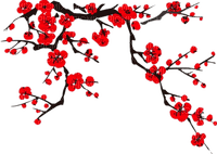 Y.A.M._Japan Spring Flowers Decor - zdarma png