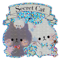 Secret Cat