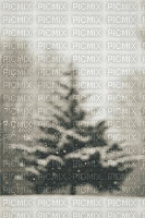 Background Winter Tree - Gratis animeret GIF
