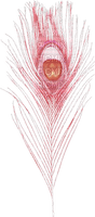 feathers anastasia - darmowe png