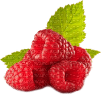 patymirabelle fuits framboise - 免费PNG
