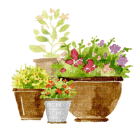 flowerpots Bb2 - nemokama png