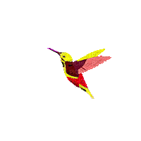 vogel - Bezmaksas animēts GIF