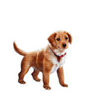 kikkapink cute animal dog puppy puppet - gratis png