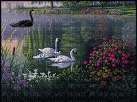 Lac - Bezmaksas animēts GIF