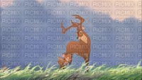 bambi - ücretsiz png