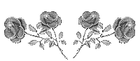 MMarcia gif rosa gris - 無料のアニメーション GIF