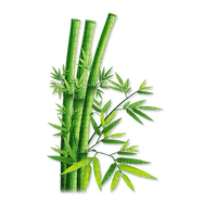 bamboo bp - png grátis