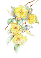 fleur, watercolour, yellow, Adam64 - darmowe png