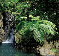 tahiti landschaft - PNG gratuit