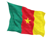 GIANNIS_TOUROUNTZAN - FLAG - CAMEROON - zadarmo png