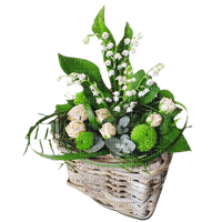 Mai may muguet lilly of the valley