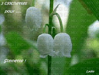 fleur - GIF animé gratuit