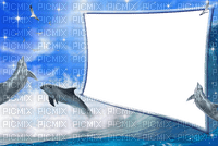 dolphin frame - png grátis