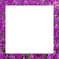 Pink petunias floral frame png - PNG gratuit