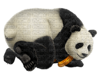Kaz_Creations Animals Pandas Panda - безплатен png