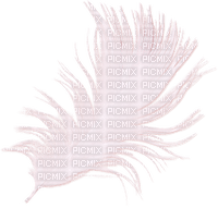 feather - png ฟรี