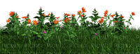 Jardín de flores y plantas - 免费PNG