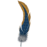 feather - png gratis