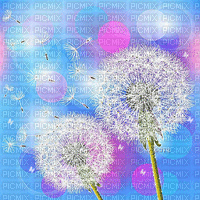 soave background animated painting field flowers - Free animated GIF