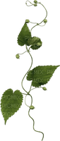minou-Leaves-löv-blad - png grátis