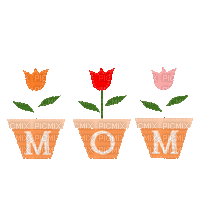 Mother's Day Tulips Animated Mom - GIF animado grátis