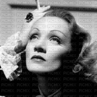 Marlene Dietrich bp - zdarma png