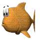 poisson - GIF animado grátis