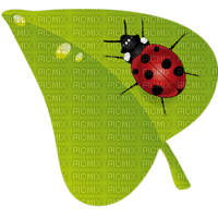 Kaz_Creations Ladybugs Ladybug - gratis png